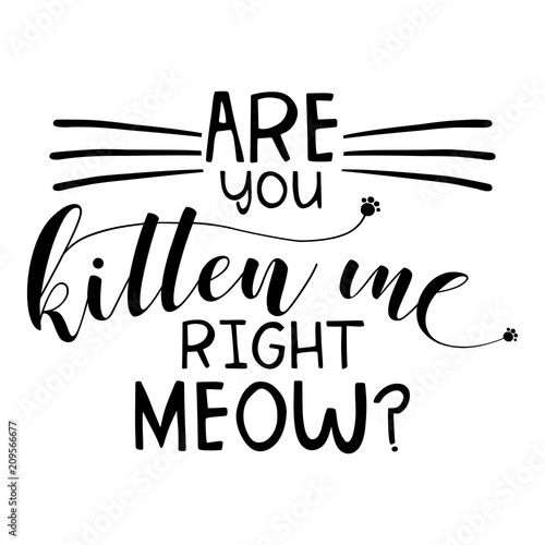 Wallpaper Mural Are you kitten me right meow? funny saying in isoltated vector eps 10 on white background