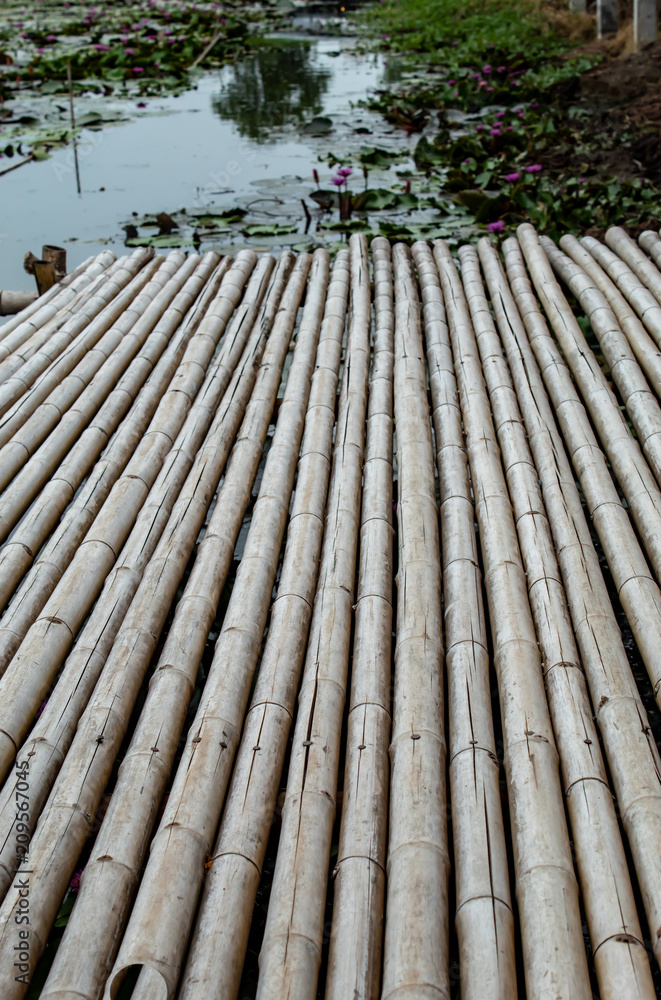 Bamboo walkway on the pond Bamboo walkway on the pond