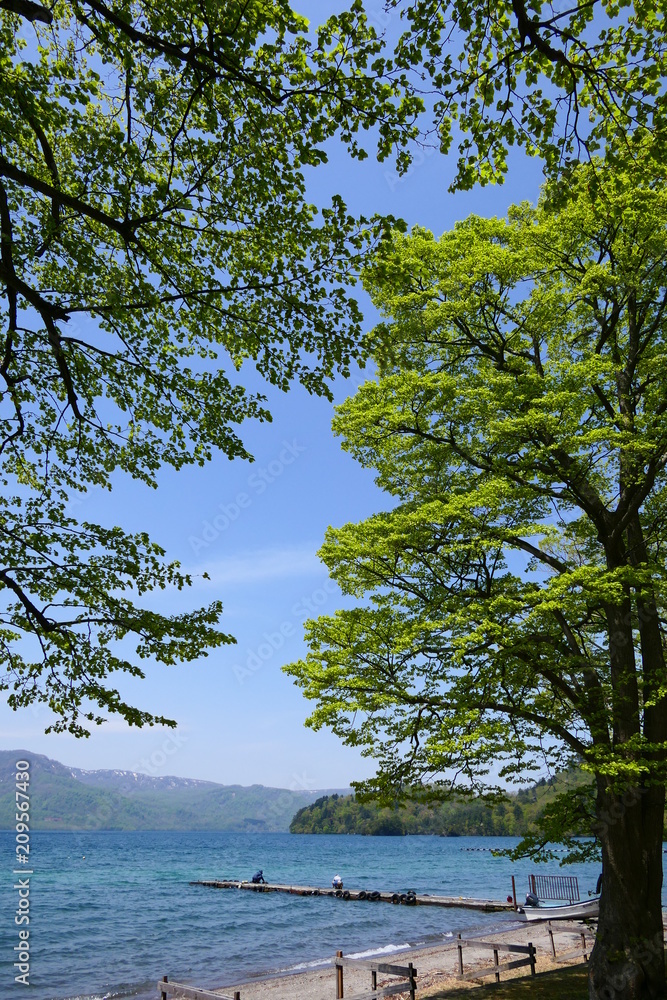 十和田八幡平国立公園。新緑の十和田湖。十和田　青森　日本。５月中旬。