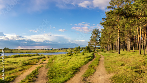 летний пейзаж на берегу уральской реки с соснами, Россия, июнь