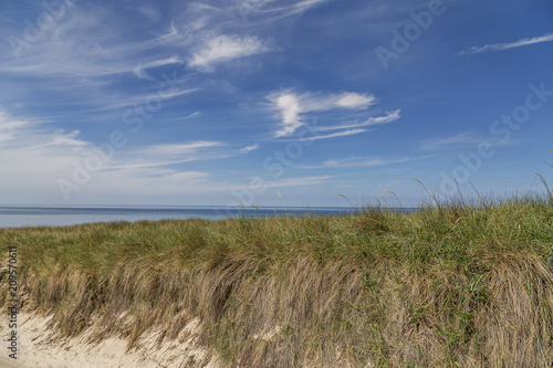 View to Grass Dunes at Wenningstedt with beautiful Sky at Sylt   Germany