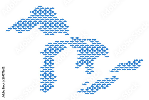 Great Lakes map full of fish. Vector water area scheme organized of fish items mosaic.