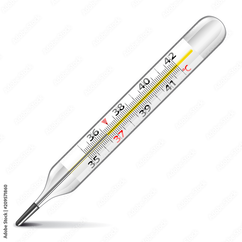 Mercury thermometer isolated on white vector Mercury thermometer isolated on white vector