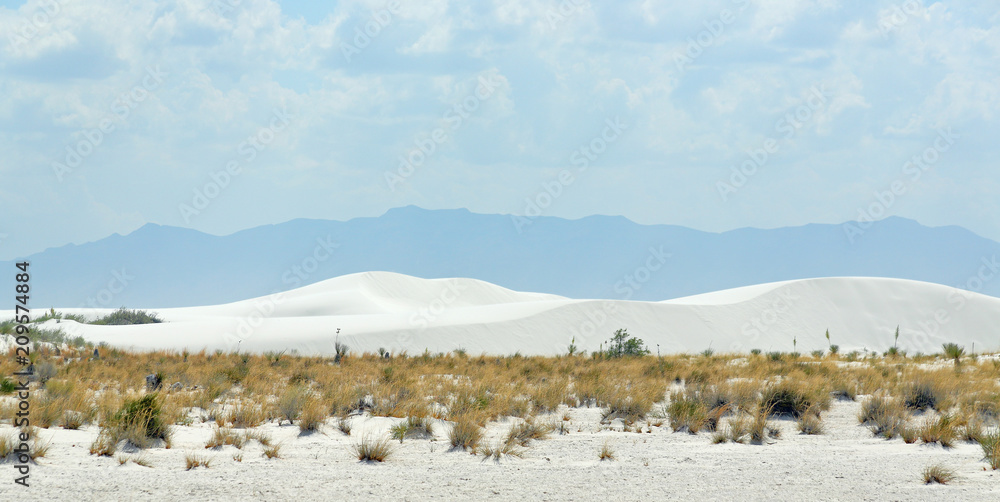 White sand dune in the desert of southern New Mexico