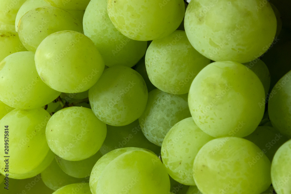 The grapes background. Ripe grapes.