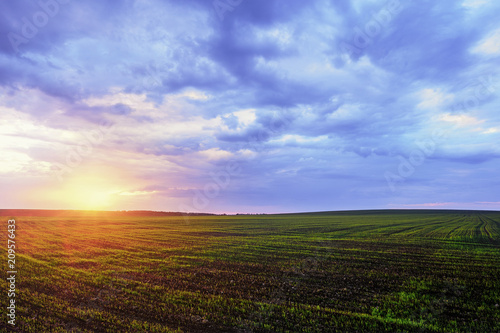 Sunset over the field