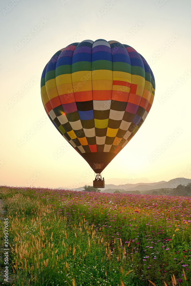 Fototapeta premium balloon and flower
