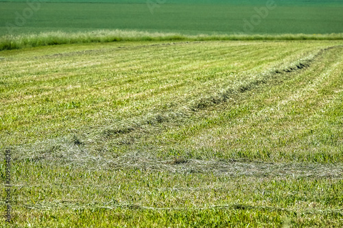 Mown / cut farmers field, g...