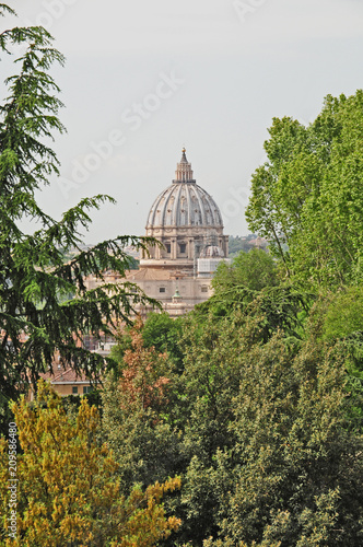 Roma, la Cupola di San Pietro dal Gianicolo