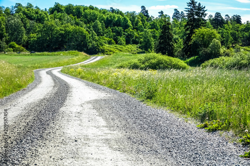 Curvy dirt road in the coun...