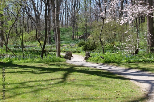 The winding path over the stone bridge in the garden.