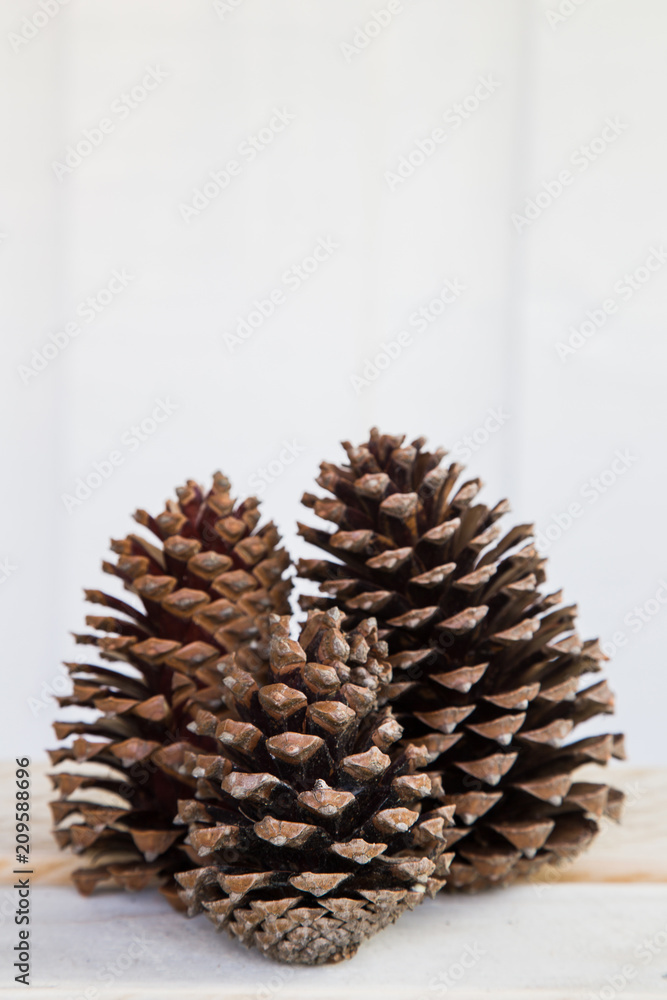 Collection of three pine cones on a wooden bench Collection of three pine cones on a wooden bench