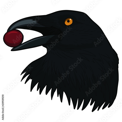 vector crow