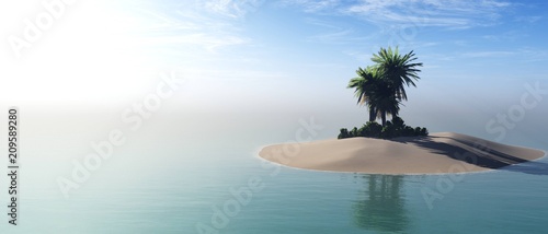 Fototapeta Naklejka Na Ścianę i Meble -  island with palm trees in the ocean, tropical beach,
3D rendering
