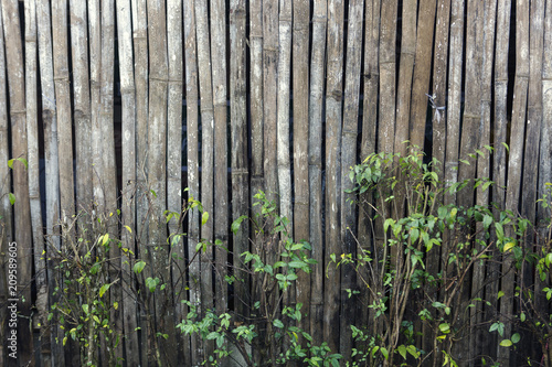 wooden fence  decorative wood fence designs with green plant.