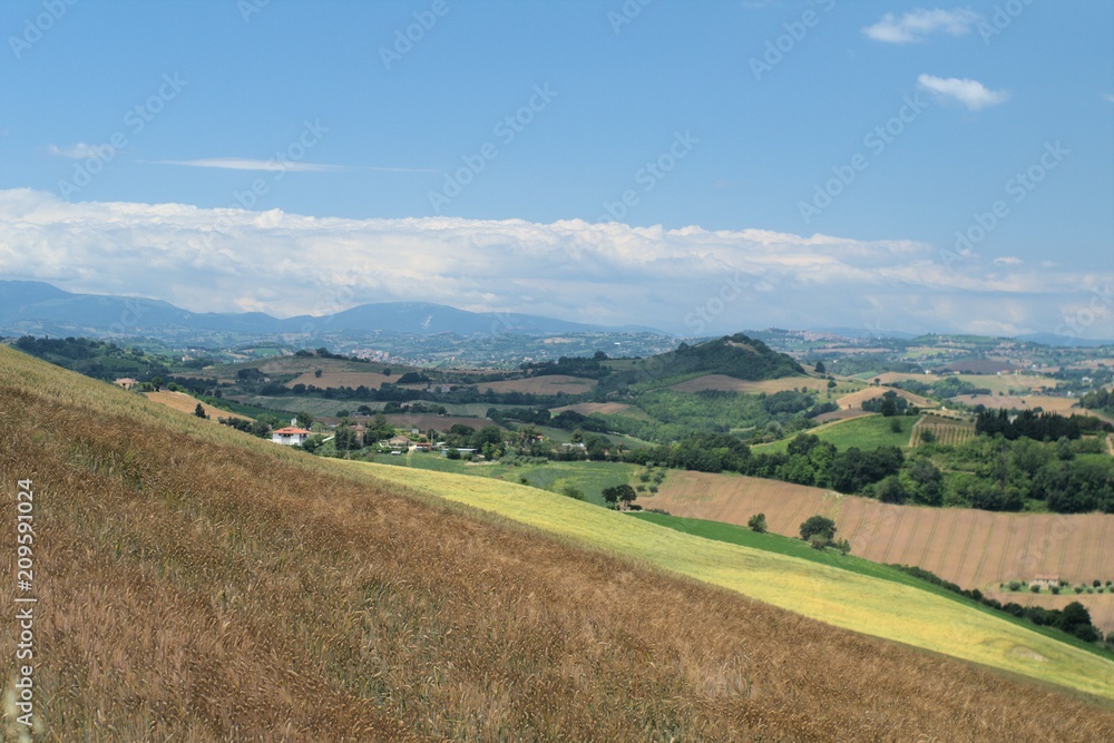 central of Italy,hills,crops,landscape,agriculture,panorama,view,sky,green,cereals