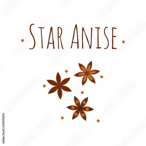 illustration. Spice. Star anise. Badian.