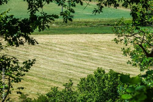 Beautiful view of farmers f...