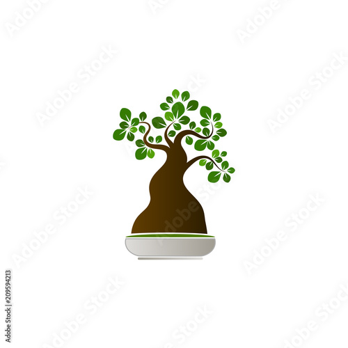 isolated banzai tree