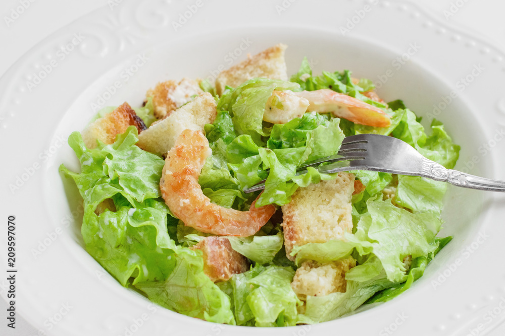 appetizer,caesar,closeup,cuisine,delicious,diet,dinner,dish,food,fresh,gourmet,green,healthy,lettuce,lunch,meal,nutrition,plate,salad,seafood,shrimp,vegetable,white appetizer,caesar,closeup,cuisine,delicious,diet,dinner,dish,food,fresh,gourmet,green,healthy,lettuce,lunch,meal,nutrition,plate,salad,seafood,shrimp,vegetable,white