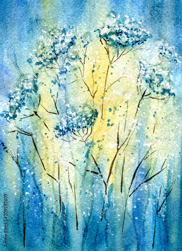 Yarrow flowers field