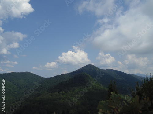 mountains  nature  forest