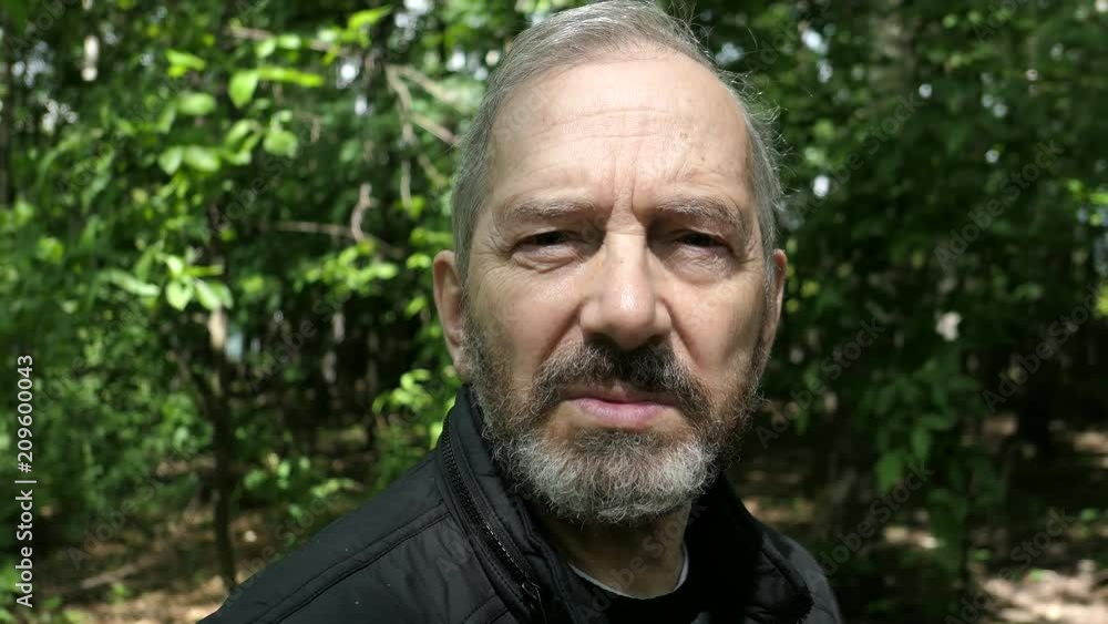 An Elderly Bearded Man Looking At Camera In The Forest In Sunny Day An Elderly Bearded Man Looking At Camera In The Forest In Sunny Day