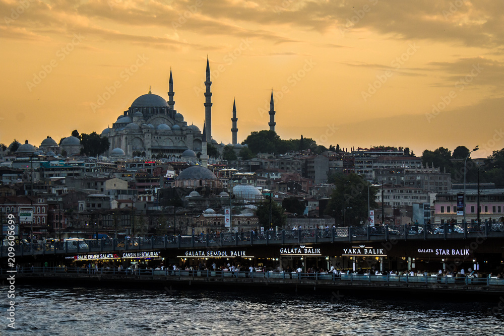 Naklejka premium Mosque / Süleymaniye / İstanbul