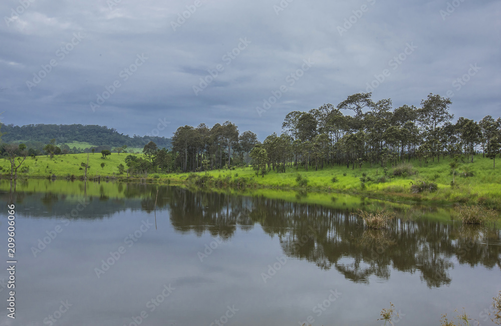 Savanna in the rainy season Savanna in the rainy season