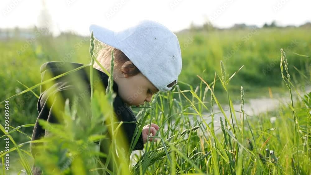 baby boy standing with dandelion in a green field in summer baby boy standing with dandelion in a green field in summer