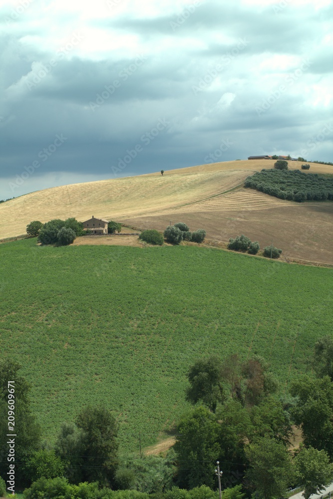 Obraz premium center of Italy,hill,landscape,view,crops,agriculture,countryside,cloud,green,gray,cereals