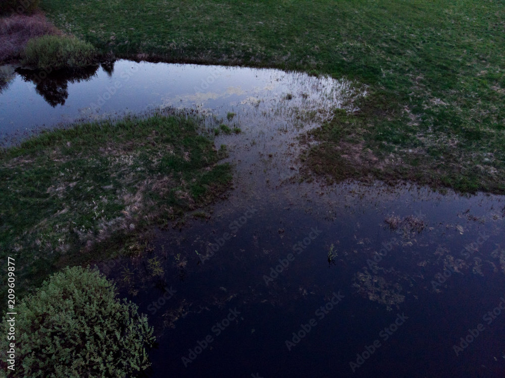 Small field pond with water plants on sunset