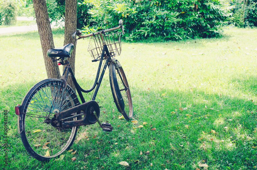 Fototapeta premium Vintage bicycle waiting near tree