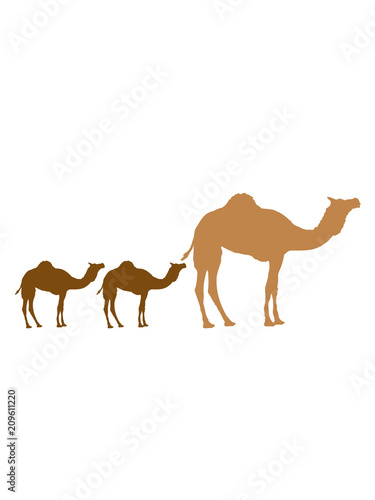 geschwister mama papa familie nachwuchs junge babys kinder 2 h  cker kamel silhouette umriss schwarz dromedar h  cker w  ste zoo