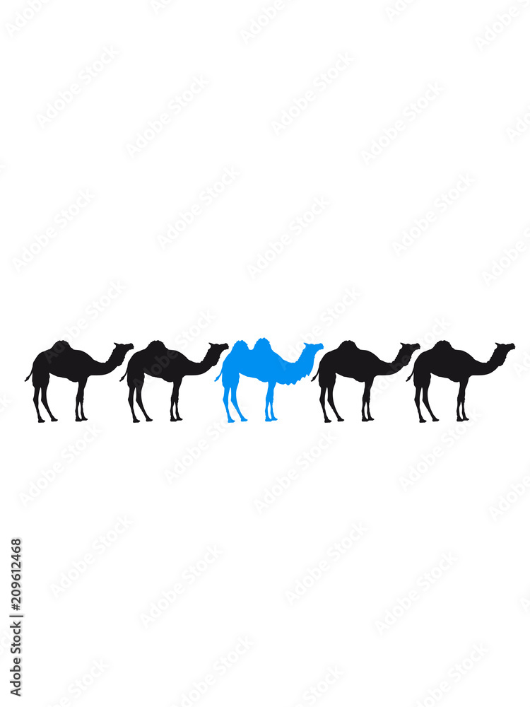 anders be different kamel silhouette umriss schwarz dromedar höcker wüste zoo