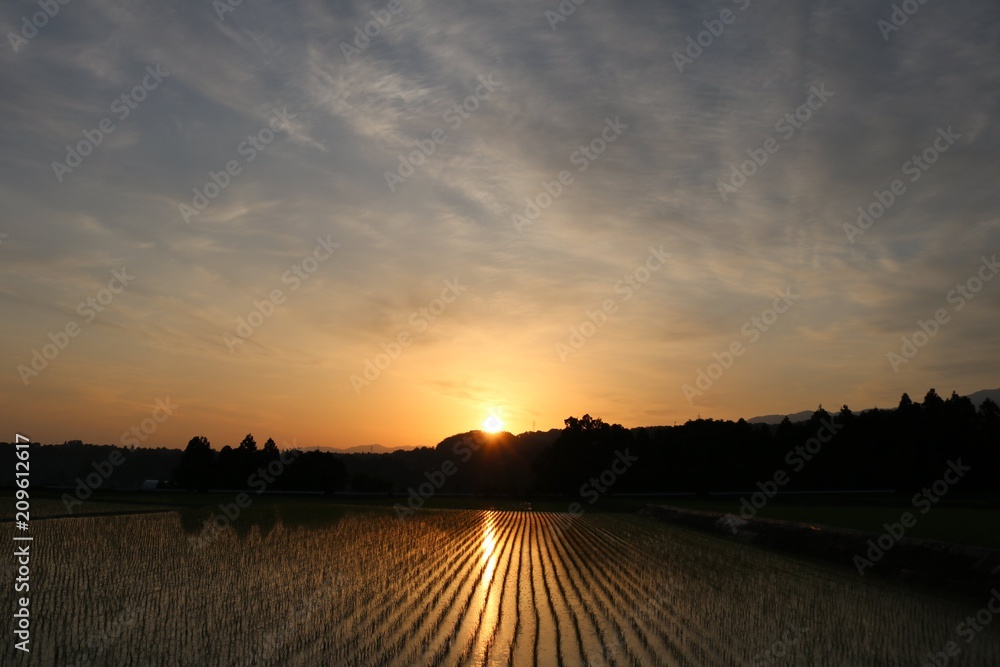 Obraz premium 夜明けの田園風景/富山の田舎の夜明けの田園風景