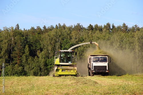 Agriculture, harvesting, rural summer landscape – new yellow-white harvester cutting the silage in the full on-board truck on the field. Front view of green forest and blue sky © Ilya