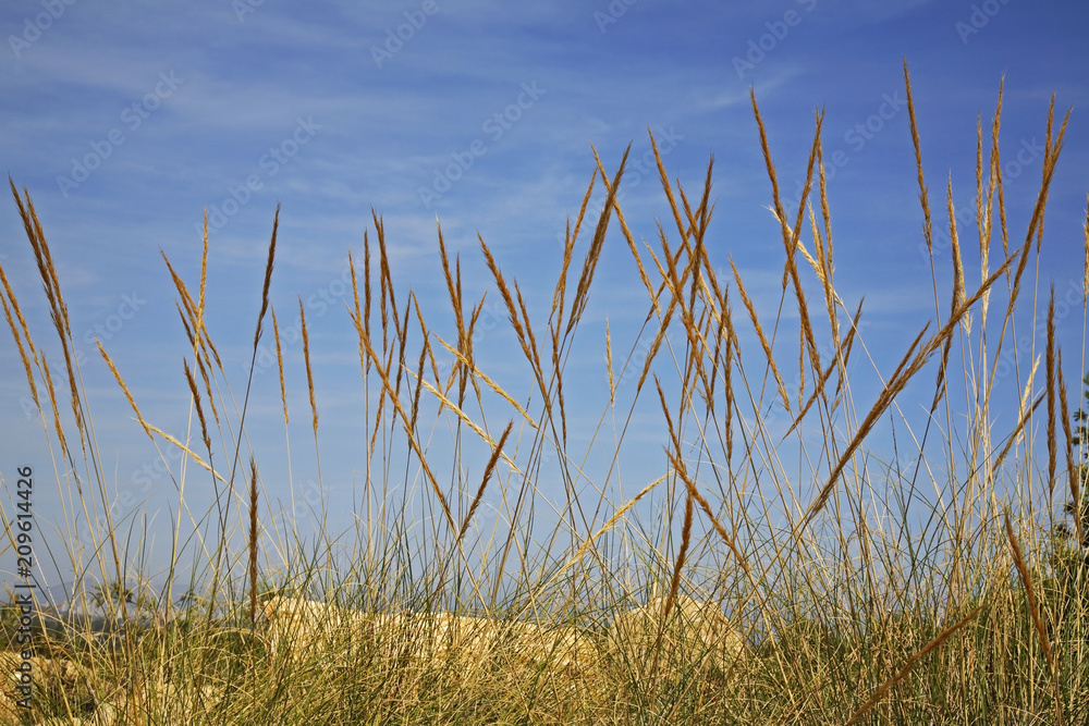 Fototapeta premium Landscape near Villajoyosa. Province of Alicante. Spain