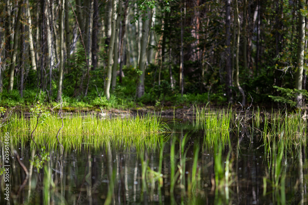 Winterpark Nature at Vasquez Winderness Winterpark Nature at Vasquez Winderness