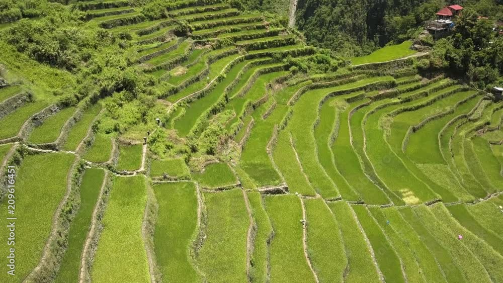 Aerial drone view flying over the beautiful Batad Rice Terraces and mountainous river valley Aerial drone view flying over the beautiful Batad Rice Terraces and mountainous river valley
