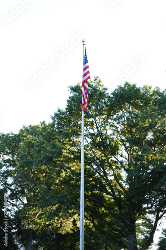 flag pole and flag on college campus walkway at dusk.