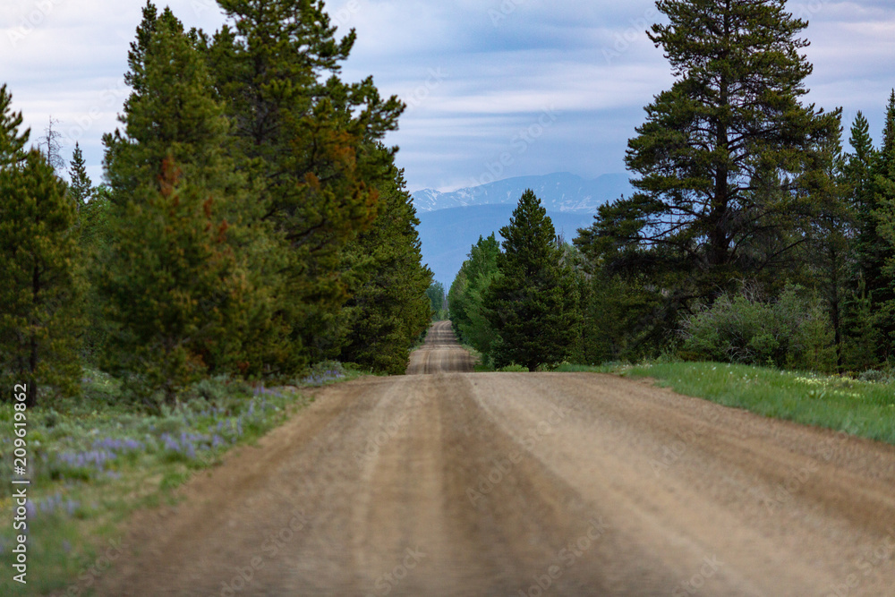 Fototapeta premium Winterpark Nature at Vasquez Winderness