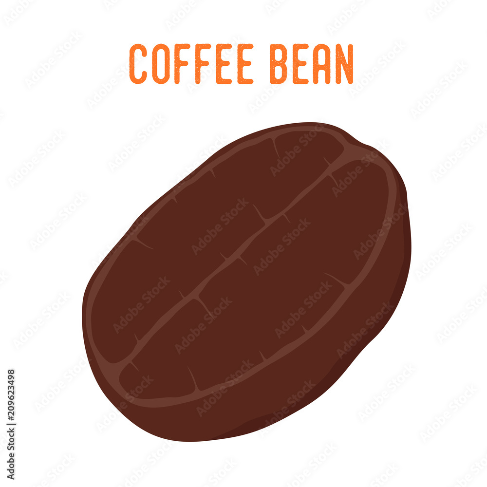 Vector coffee bean, robusta. Roasted seed in cartoon flat style Vector coffee bean, robusta. Roasted seed in cartoon flat style