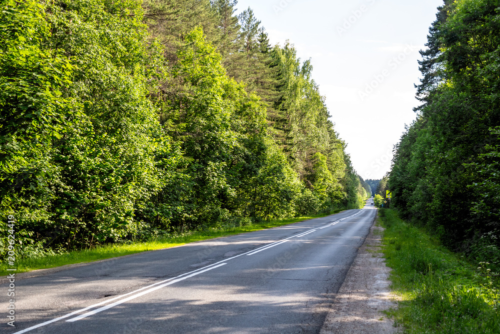 Road through the forest between the towns of Maloyaroslavets and Borovsk, Russia