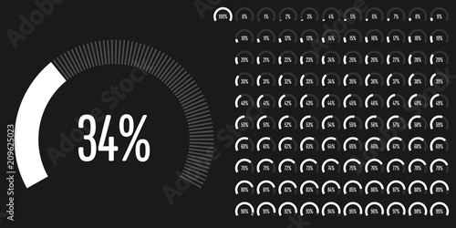 Set of circular sector percentage diagrams from 0 to 100 ready-to-use for web design, user interface (UI) or infographic - indicator with white