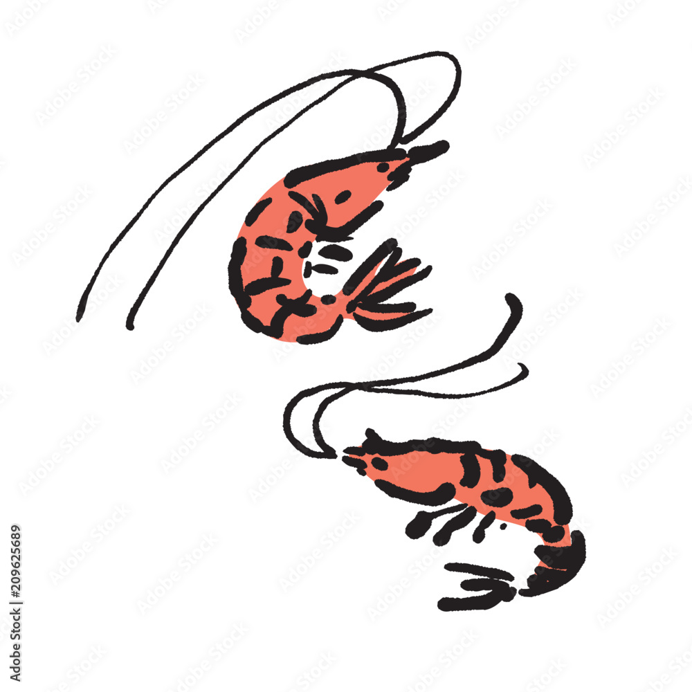 海鮮 エビ イラスト Stock Vector Adobe Stock