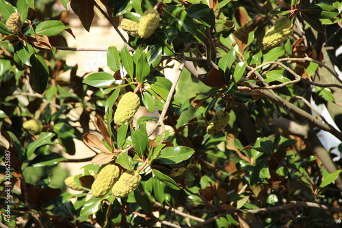 Espanha - Ciudad de Salamanca