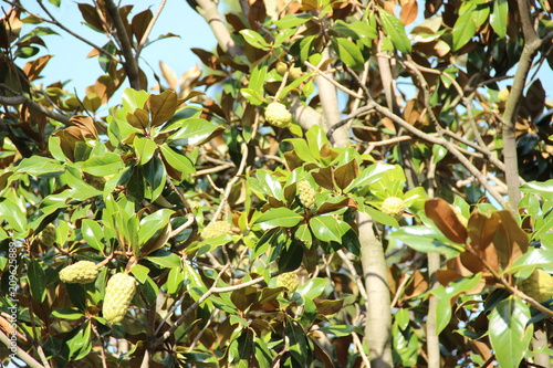 Espanha - Ciudad de Salamanca