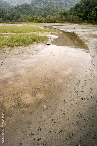 Penang National Park photo