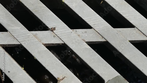 Rain water flowing into a drain.Rainwater flows on the asphalt road and fall into the metal hatch with holes drain.Rainwater flows on the road and fall into the metal hatch with holes drain.
